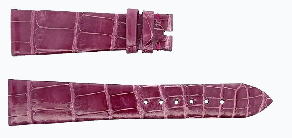 43703604