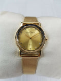 Skagen Gold Stainless Steel Mesh Women's Watch 139SGGG
