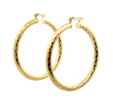 Gold tone Women's Round Hoops Earrings