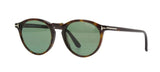 Tom Ford AURELE Dark Havana/Green Polarized Sunglasses FT0904 52R 52-19-145