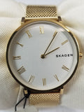 Skagen Analog Silver Dial Women's Stainless Steel Mesh Band Watch - SKW2713