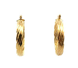 Gold tone Women's Round Hoops Earrings