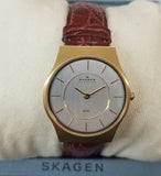 Skagen 233SGS Silver Tone Dial Brown Leather Strap Women's Quartz Watch 28mm